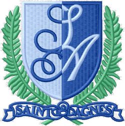 St Agnes RC Primary School (LINK)