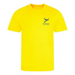PE T-Shirt Yellow - Embroidered with Hunwick Primary School logo