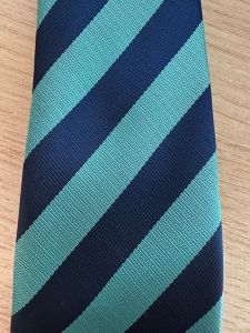 Rye Hills Academy Tie