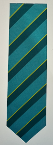 UTC South Durham Tie