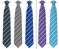 Coquet Community School Tie