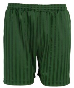 Bottle Green PE Shorts Shadow Stripe - Plain (No Logo)