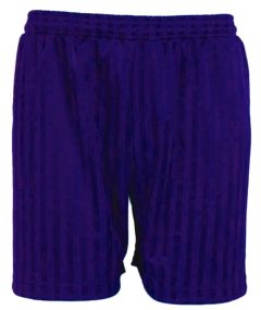 Bluemax Shorts Purple