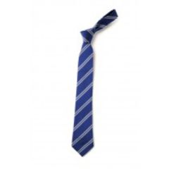 School Clip-on Tie (Phase 5) - Embroidered with Cleaswell Hill School Logo